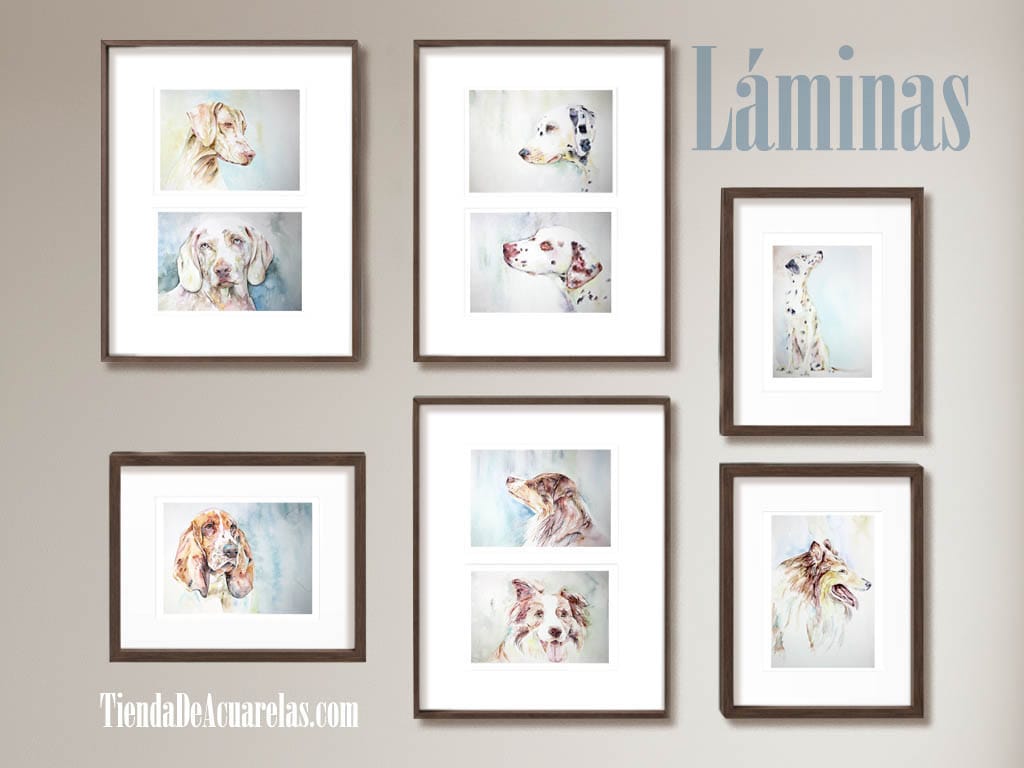Láminas acuarelas de perros de diferentes razas, son copias de mis acuarelas originales pintadas a mano con acuarelas sobre papel. Acuarelas para decorar | @acuarelasporencargo